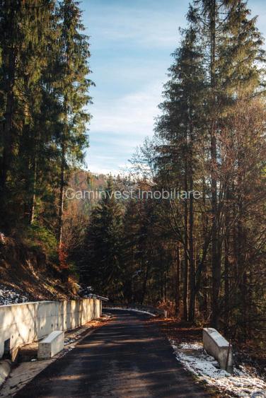 Teren intravilan de vanzare in Arieseni, jud. Alba - 2
