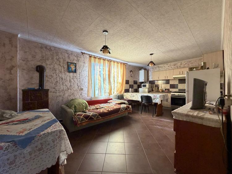 Casa individuala 200 mp utili, 1600 mp teren - Chisoda