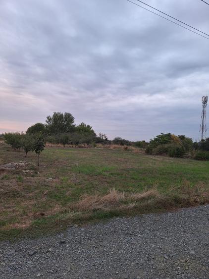 Teren intravilan 608 mp – Dumbrăvița, zona IKEA | toate utilitățile