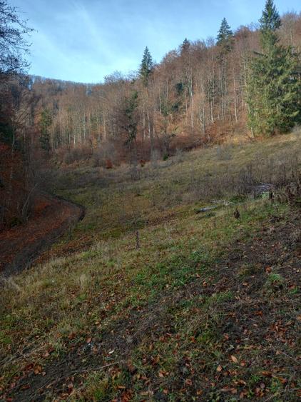 Proprietar: 22.200 mp intravilan Lepșa, panoramă munte și Valea Putnei