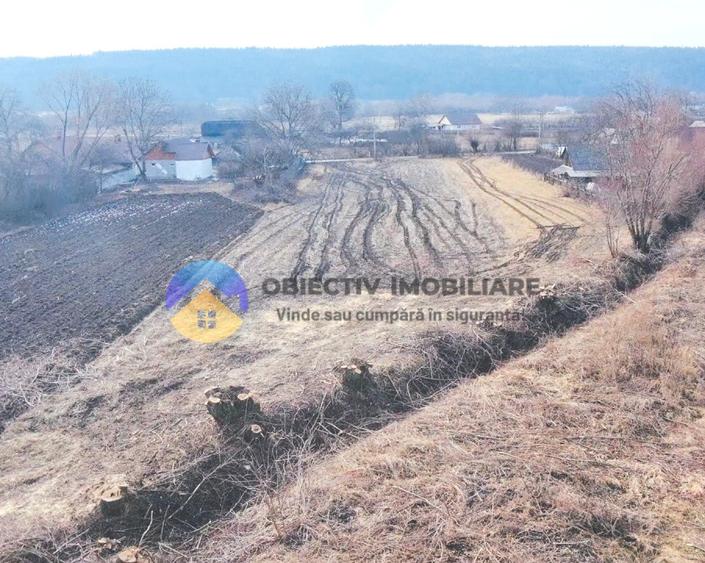 Teren INTRAVILAN 10.515 mp - BODEȘTI, judetul NEAMȚ