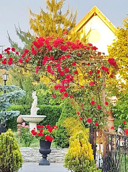 Gradina Comuna frumos amenajata - 18