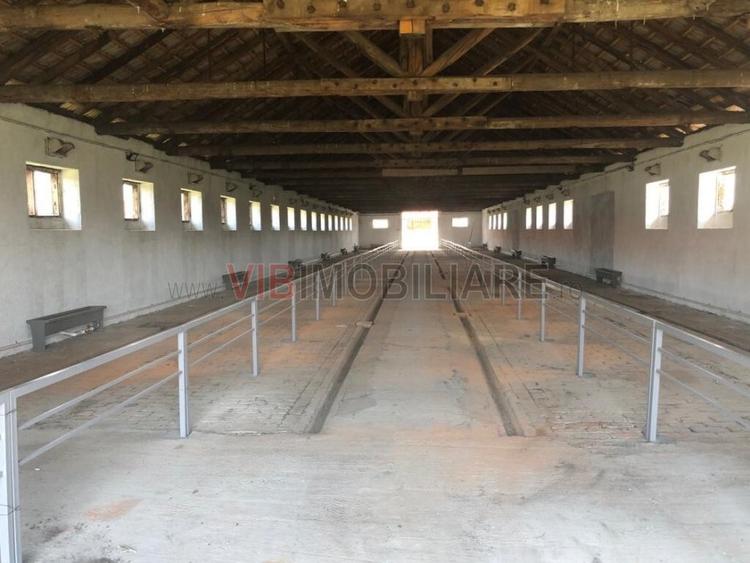 Ferma complet utilată – 30 ha teren comasat Timiș – Comuna Biled