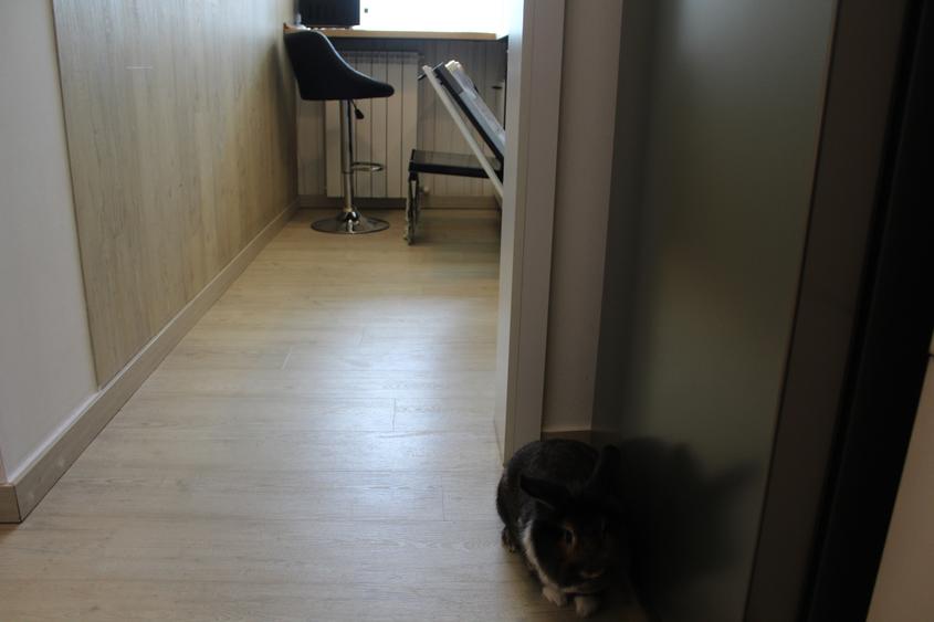 Hop Into Your New Home – 2-Room Apartment with Bubu & Babu!