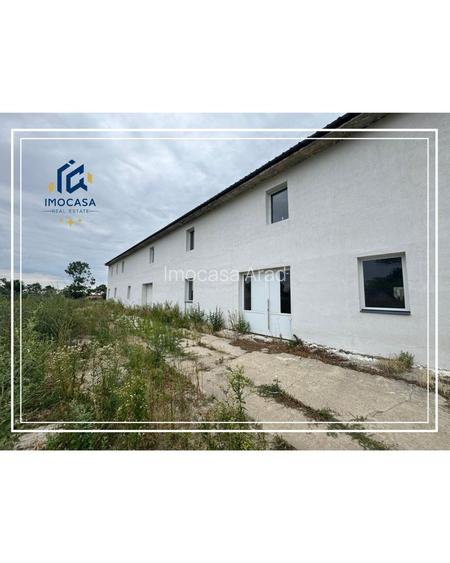 Propunem spre închiriere hală depozitare, comerciala renovat, Arad - 5