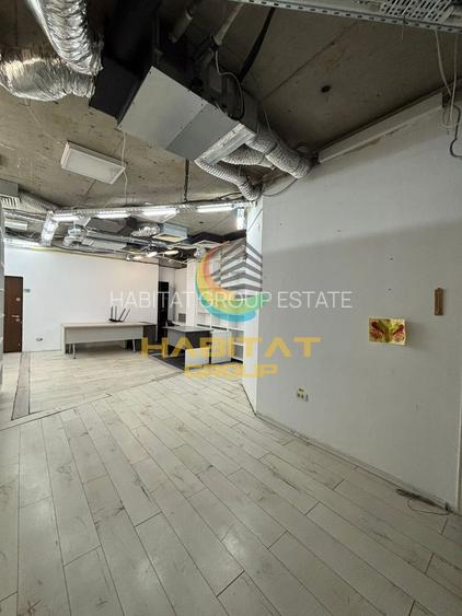 Vanzare spatiu comercial strada Vasile Lascar stradal - 9