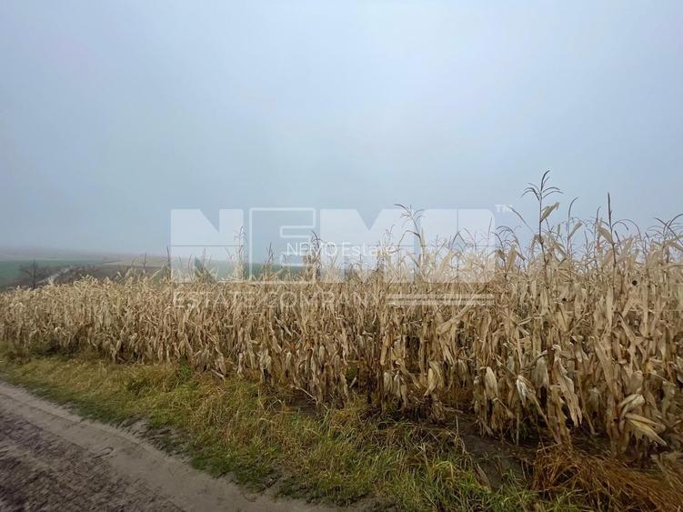 TEREN EXTRAVILAN | DOUA PARCELE 2.84 HA| DARMANESTI - 20