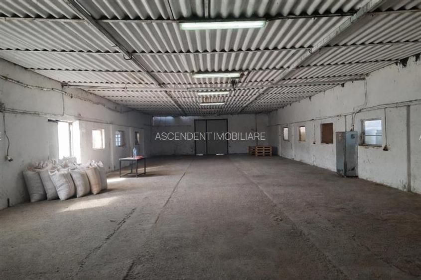 Hala industriala versatila,spatii cazare, platforma betonata,2.300 mp,Halchiu - 9
