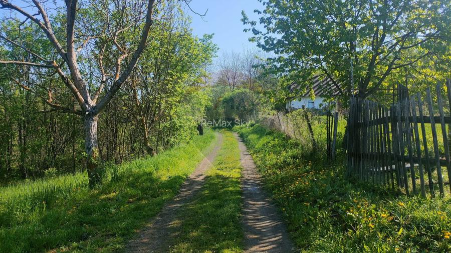 Teren de vis în Stejeriș – utilități, natură, acces rapid!