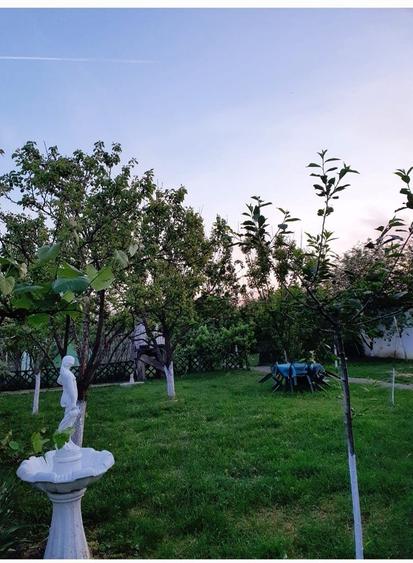 Casa | 9 camere | Garaj | Piscina | Teren 3.000 mp | Comision 0%
