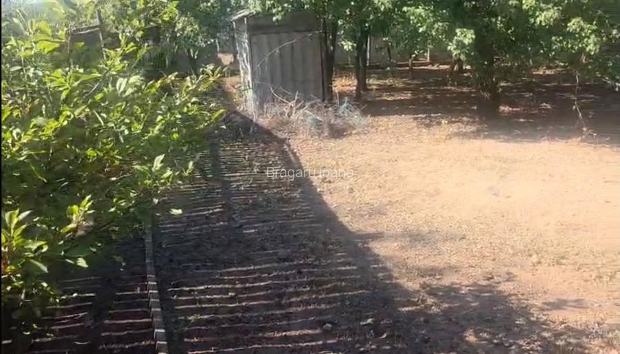 Casă cu grădină în Giubega, Județul Dolj - 3