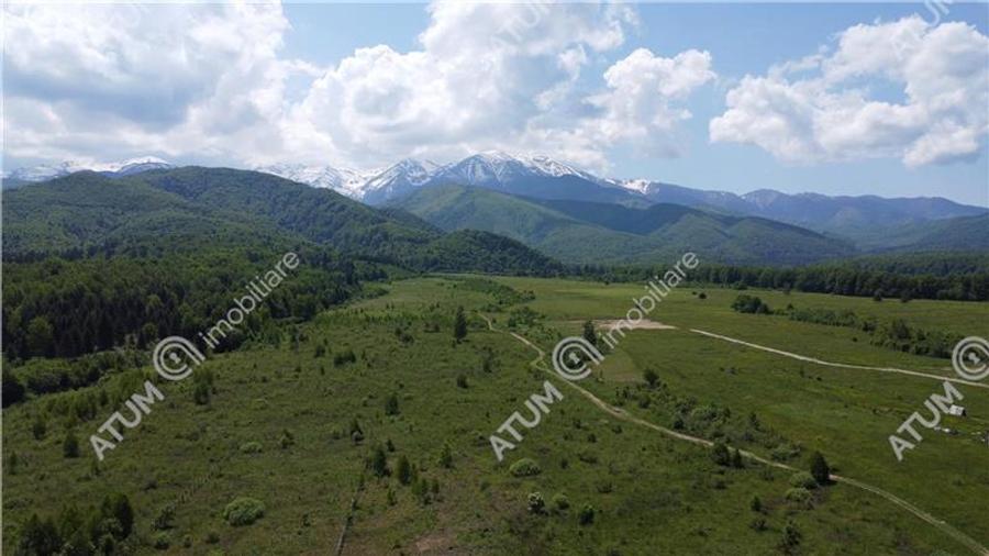Teren intravilan 1250 mp de vanzare in Avrig zona Valea Avrigului