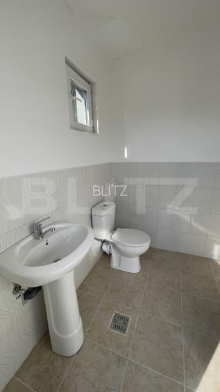 Spațiu comercial si depozit, 60 mp, curte de 500 mp, parcare, zona Albota - 4