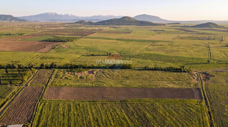 Teren extravilan 44.000 mp (4,4 ha) | Hărman | Comision 0% - 4