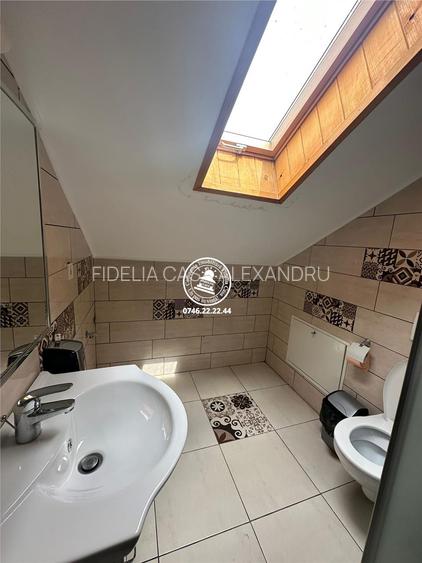 Spatiu comercial / birou de inchiriat 40 mp Pacurari