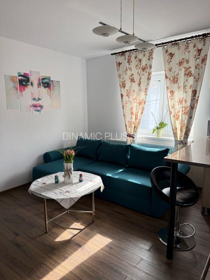 APARTAMENT LUX IN SELIMBAR - 23