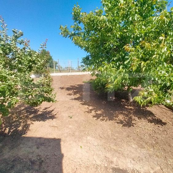 Casa 4 camere, 200 mp, 1050 mp teren, zona Ciurbesti