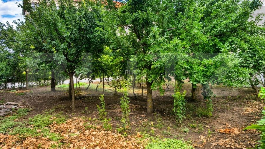 Casa cu 2 camere de vanzare, 50 mp, teren 335 mp, strada Mara, zona Piata Mica - 3