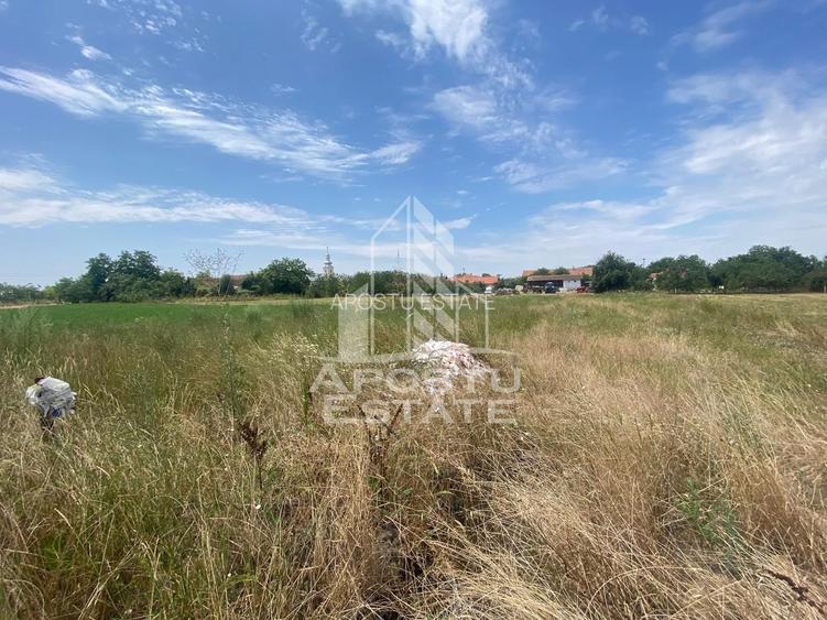 Teren constructii intravilan de vanzare Dragsina Timis 1000 mp - 4
