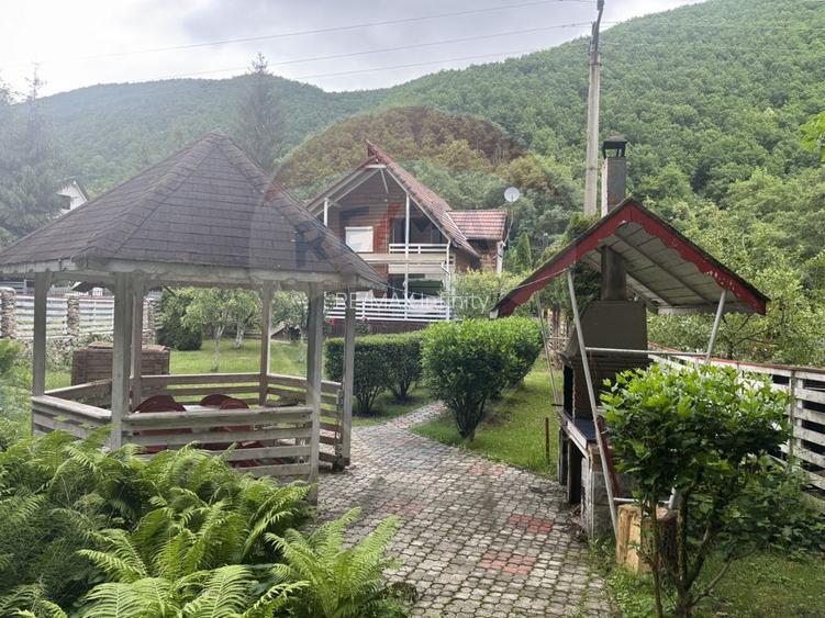 Cabana autentica de munte Frasinet - Baisoara 600 mp teren - 15