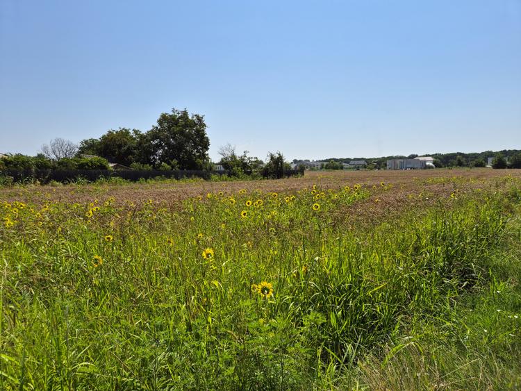 Teren 1.570mp la strada principală, dublă deschidere, Ciofliceni - Snagov!