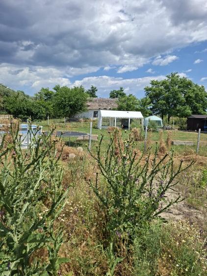 Teren intravilan de vanzare, SITUAT LA FALEZA , in localitatea CRISAN din DELTA