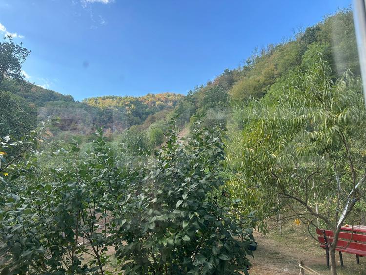 Gospodărie cu 10.900 mp teren, 3 constructii, Cainelu de Sus