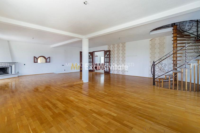 Domeniu privat 5.000 mp, cu reședință de 625 mp și piscină, Corbeanca - 6