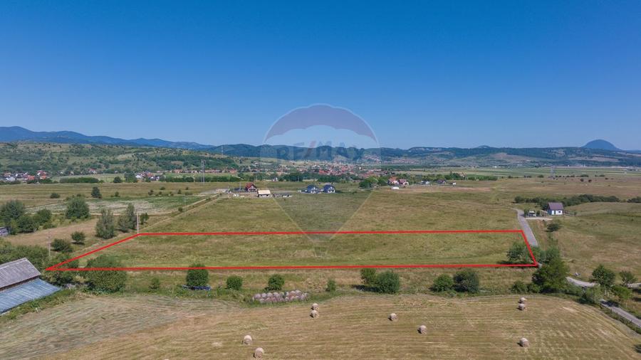 Teren Bran -Sohodol, Strada La mesteceni, 6900mp