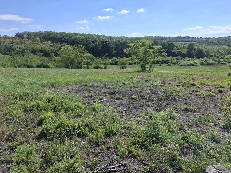 Teren intravilan de vanzare 9783 mp, in Paleu, Bihor