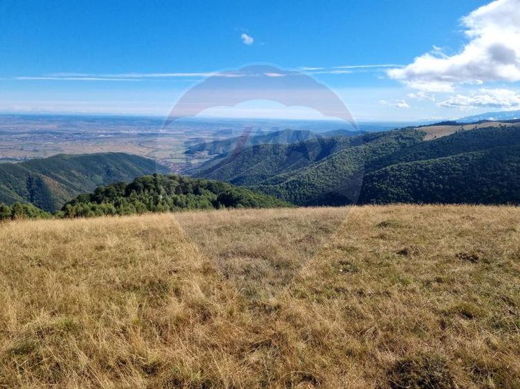Teren extravilan