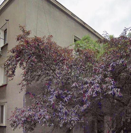 2 camere, Rahmaninov (Floreasca)