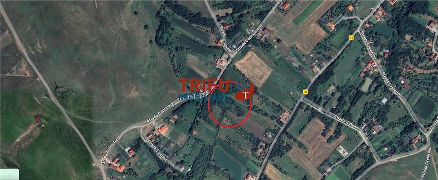 Teren intravilan 4600mp in Oarda de Sus