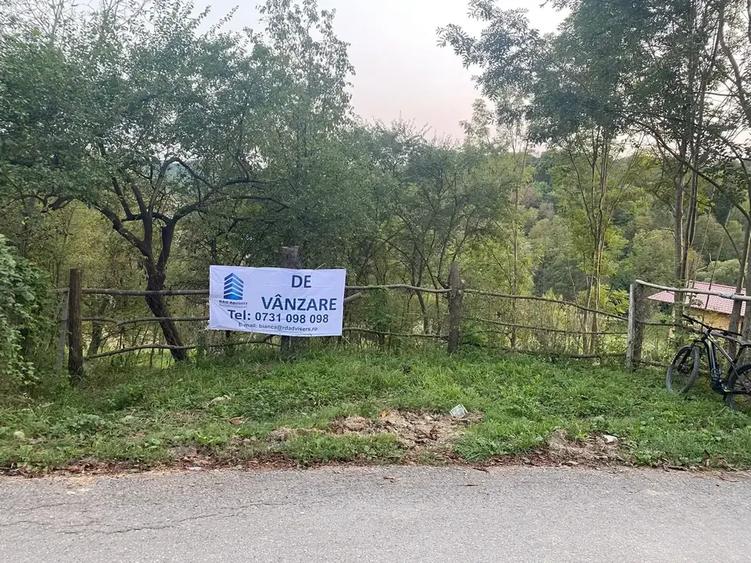TEREN DE VANZARE INTRAVILAN | SULTANU | VISINESTI