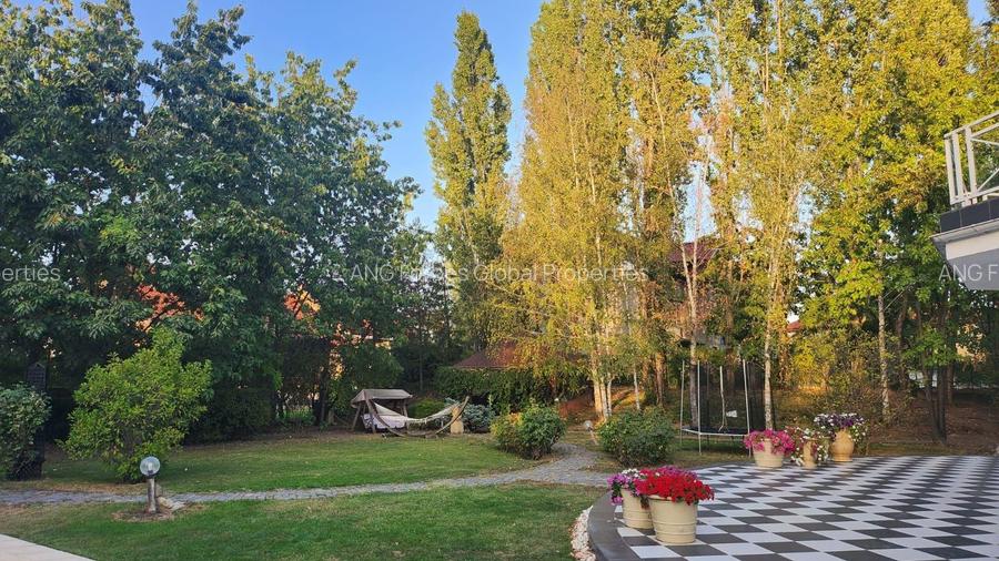 Vila individuala, teren 3000 mp, Iancu Nicolae - 32