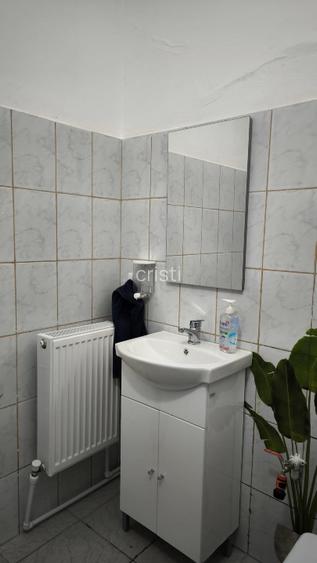 Spatiu Comercial cu vad - 4