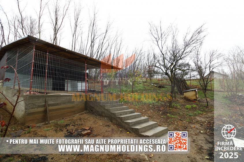 Casa Albota, Mares, 260 mp construiti, 1700 mp teren - 8
