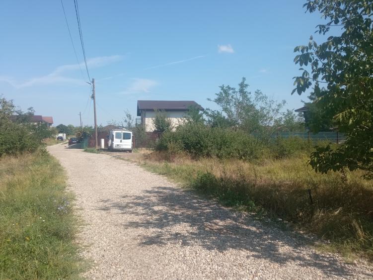 Teren 100Omp, Clinceni, Str Rozelor