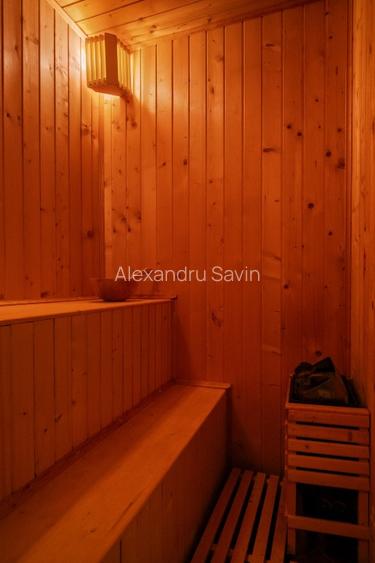 Vila Snagov | piscina | sauna | semineu | intre lac si padure | PROPRIETAR | - 13