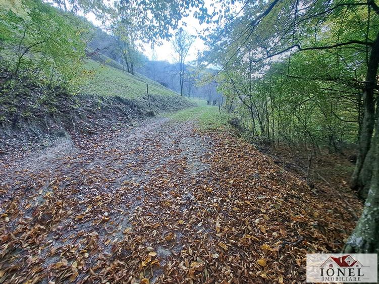 Vanzare casa cu 17.399 mp teren in Vintu de Jos - Valea Vintului