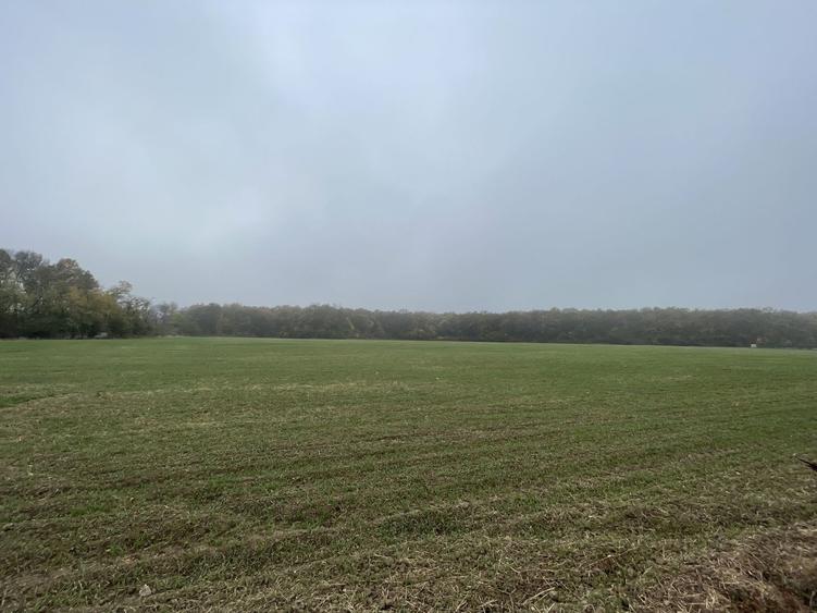 9400 mp | Ideal pentru investitie | Tunari | Deschidere la padure