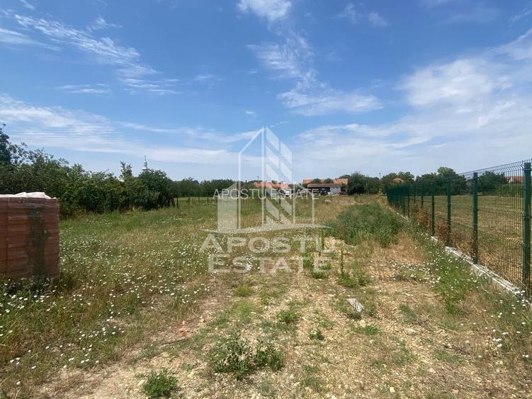 Teren constructii intravilan de vanzare Dragsina Timis 1000 mp - 2