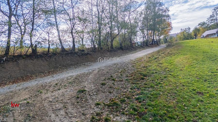Teren intravilan în Zărnești, zona Tohanita, cu pădurice și parau curg