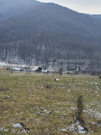 Oportunitate! TEREN INTRAVILAN CU SUPRAFATA DE 5200 MP