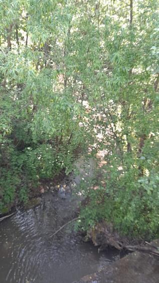 Teren intravilan, in Rimetea, parcela 1000 mp, 27 euro/mp
