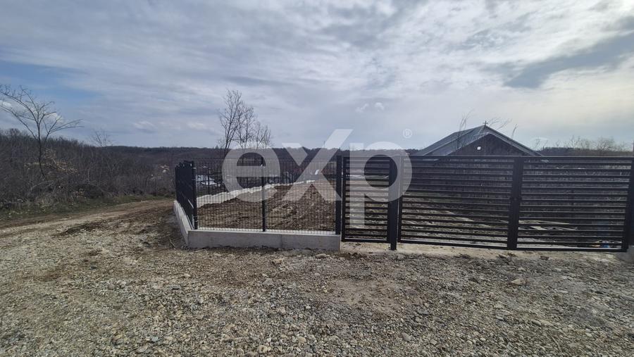 Teren 1.500 mp lângă pădure, Albota – liniște, natură și potențial de parcelare
