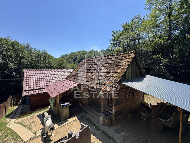 Casa din lemn, zona muntoasa, cu rau, la cheie, Ribita, Hunedoara