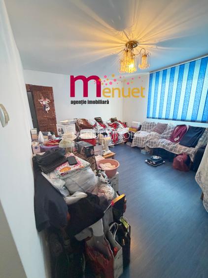 Casa BCA P+1,zona Alexandru Cel Bun,500 mp - 14