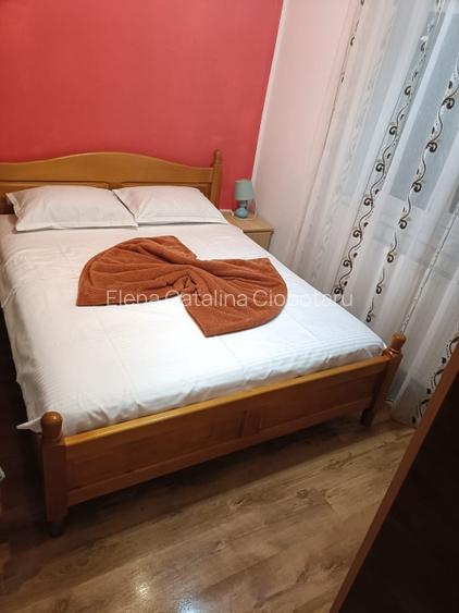 Apartament Nemira ( Afacere la cheie )  - 3