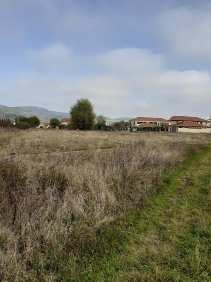 Vand teren intravilan in zona Fac.Sapientia